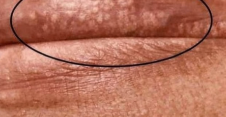 04810B80 1766 4E0C 8067 297AD577C845