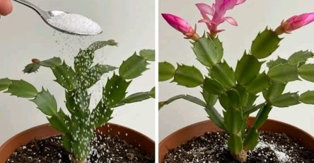 1d38f889 05b3 42bd 8081 5632cc3f7a28