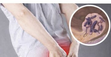 28c95f8b c847 4e2c bf10 d1cbb26b462d