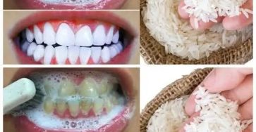 397344432 373043468395582 5616491492331476753 n 95