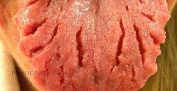 4e9c6988 0dd4 4bf1 8926 8cf0a2d2ffa8