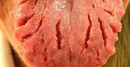 4e9c6988 0dd4 4bf1 8926 8cf0a2d2ffa8