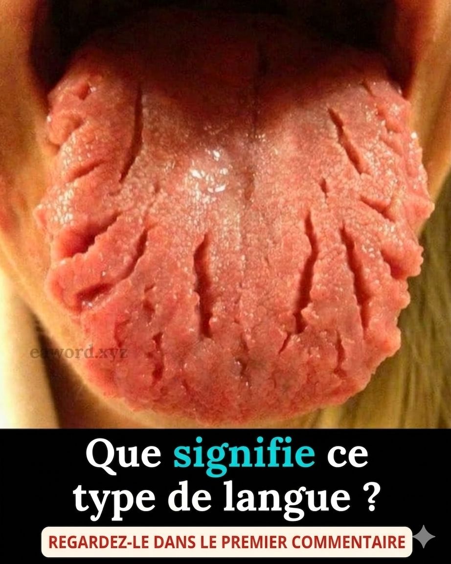 4e9c6988 0dd4 4bf1 8926 8cf0a2d2ffa8