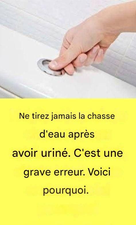 634895383 122105972673243123 1236380315217967921 n