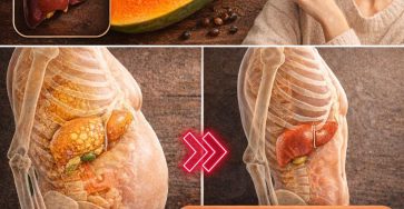 640254939 122127759549078200 6400241430504990146 n