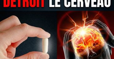 645304940 902053565959617 6696696849584322238 n