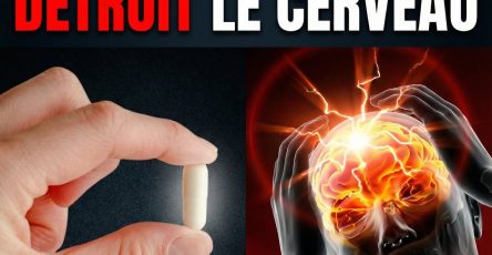 645304940 902053565959617 6696696849584322238 n