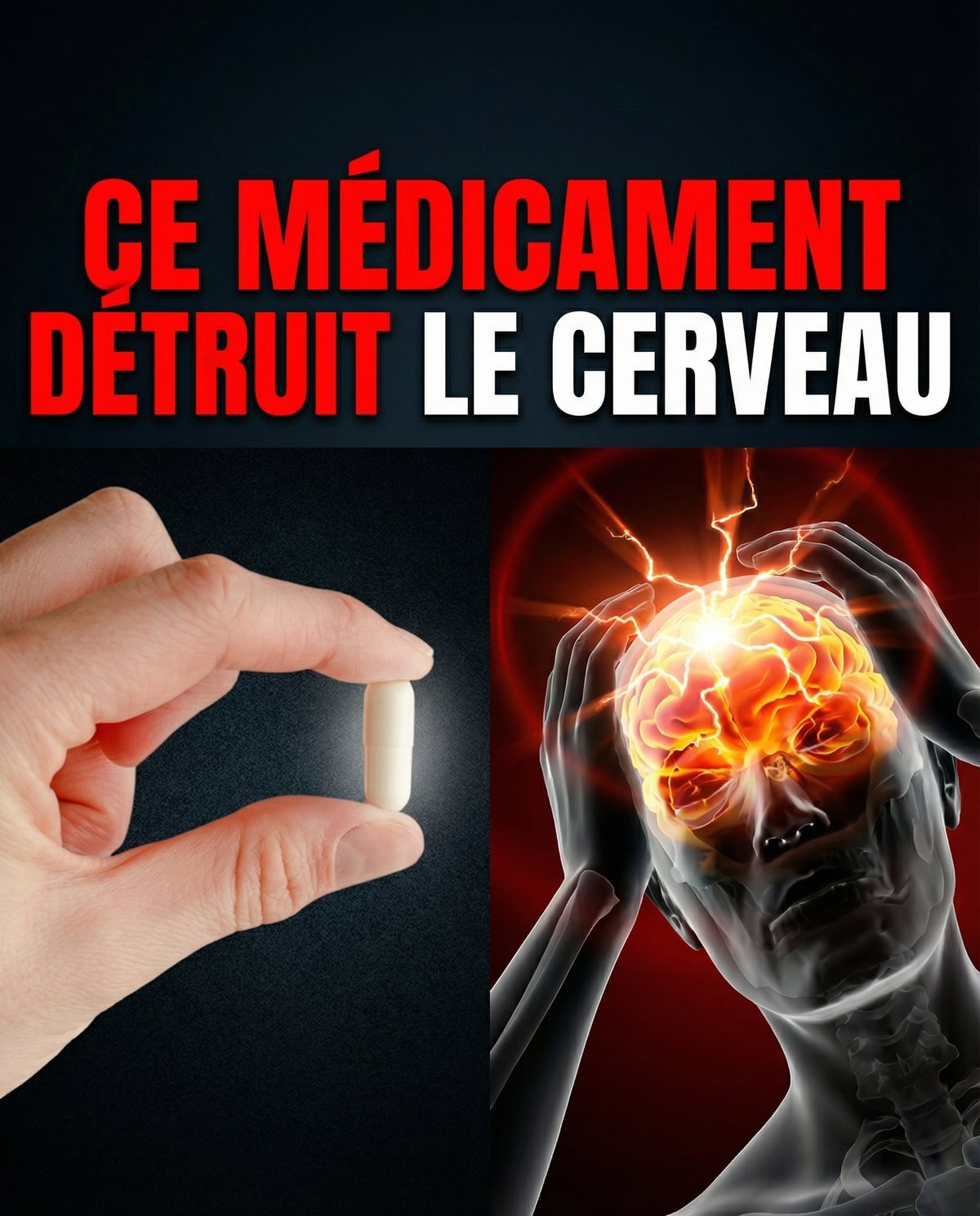 645304940 902053565959617 6696696849584322238 n