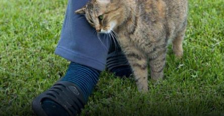 9a49497c 4ca2 420b 9147 599c15c6d6fe