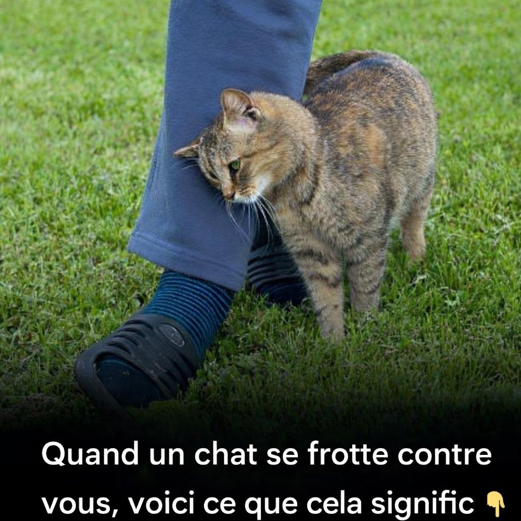 9a49497c 4ca2 420b 9147 599c15c6d6fe