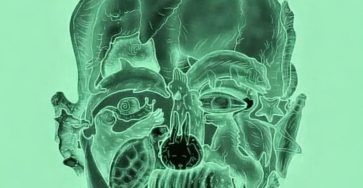 WhatsApp Image 2026 03 29 at 08.36.48 (1)