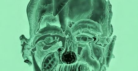 WhatsApp Image 2026 03 29 at 08.36.48 (1)