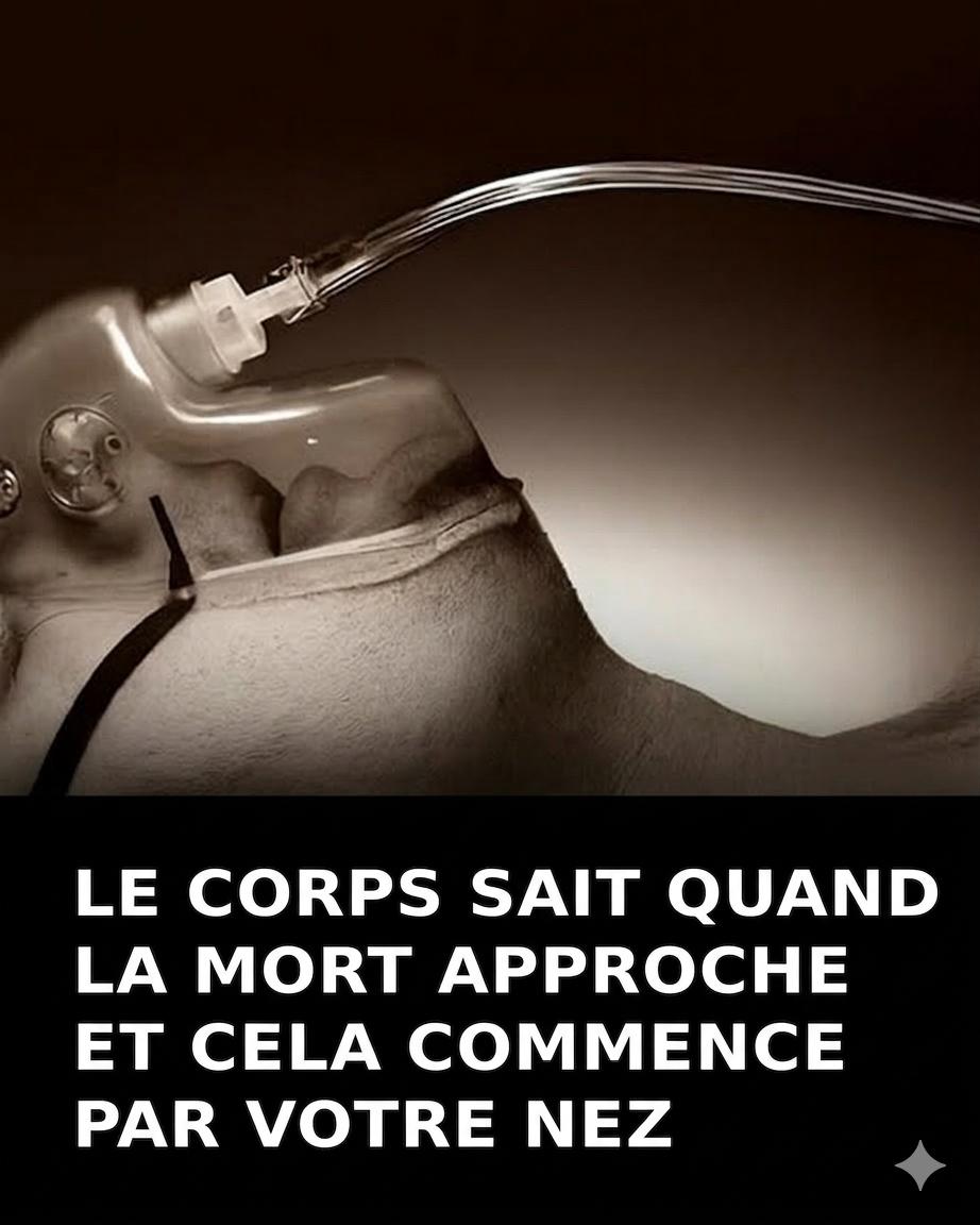 Bfad7539 ee27 4e5a 9c04 8a1784452650