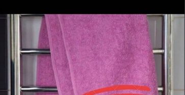 C21737e6 5f5b 445b a7f6 8e1f1bf6d1cf