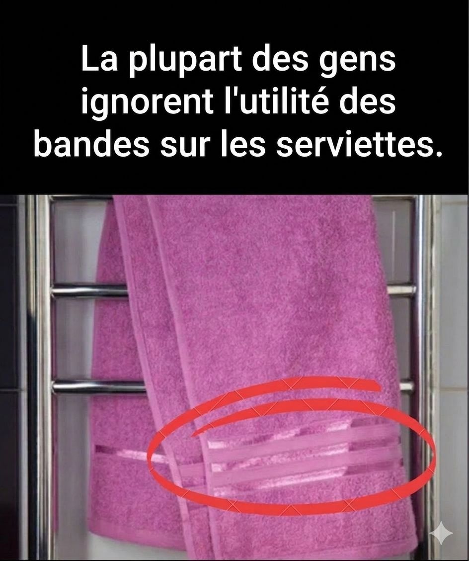 C21737e6 5f5b 445b a7f6 8e1f1bf6d1cf