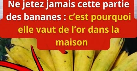 C754706c c6a9 4d3f 8118 8ade5ce2d3ff