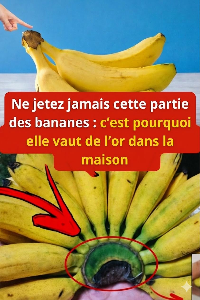 C754706c c6a9 4d3f 8118 8ade5ce2d3ff