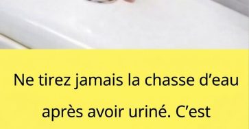 D62b41a5 4db8 47fd 9cdb 8b1d4f8b4f70