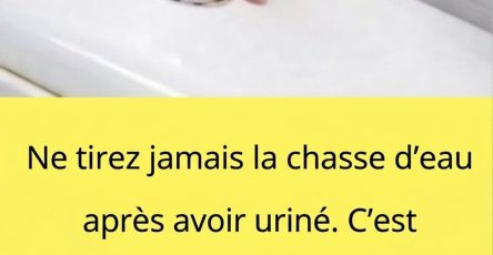 D62b41a5 4db8 47fd 9cdb 8b1d4f8b4f70