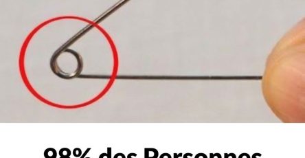 Efca52d3 f587 425d 9f1e 8c40562e5c39