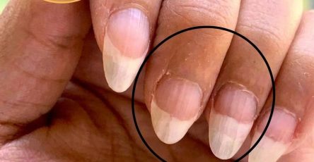 F0c5ee0a 1acf 4d25 a5e3 7752ba7a93fc