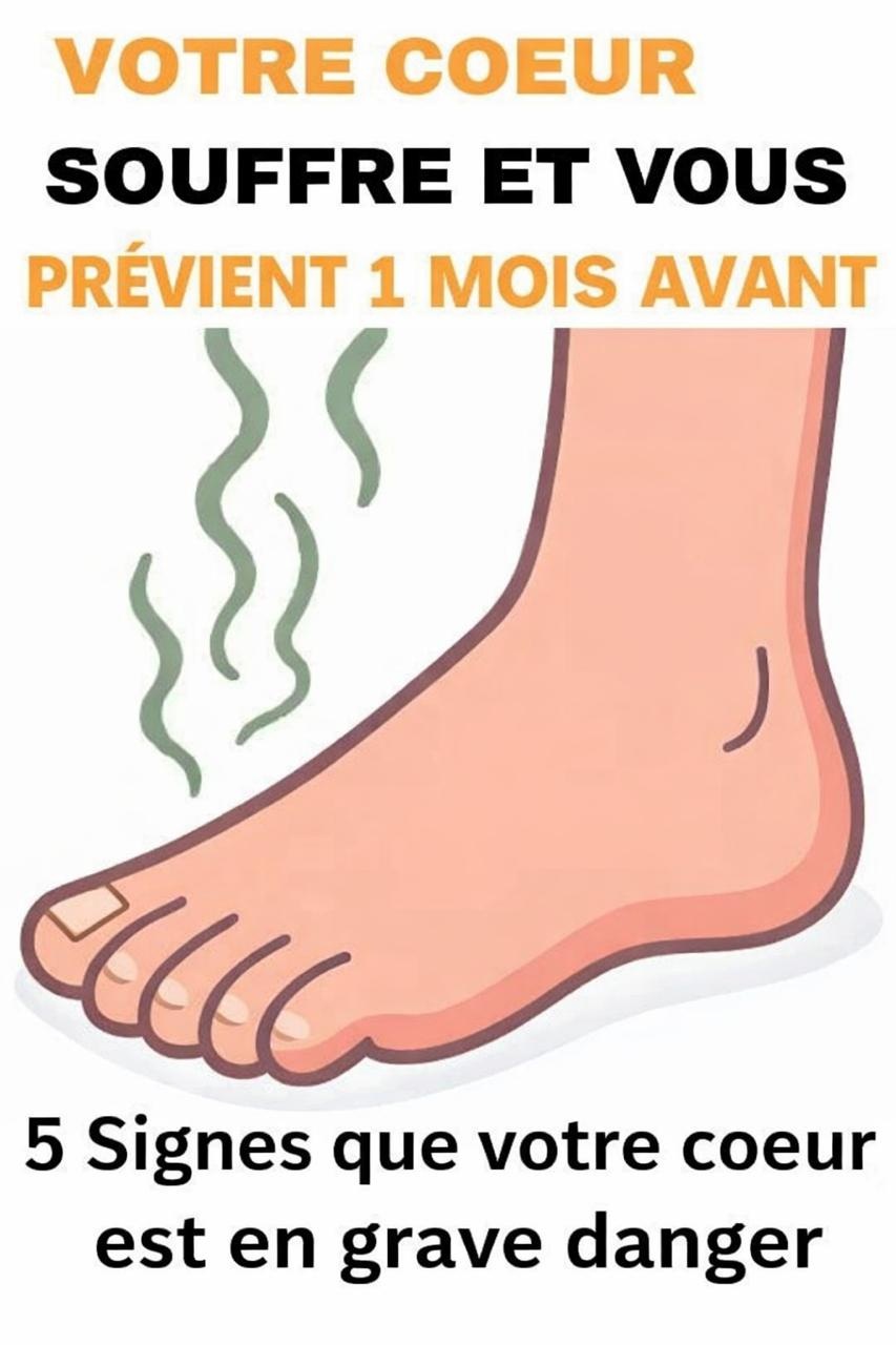 Fed29607 7afd 4f67 ac9b 3ceb0877e563