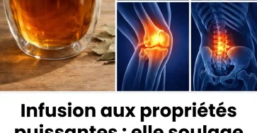 Infusion aux proprietes puissantes elle soulage les douleurs articulaires musculaires et rhumatismales.jpg (1)