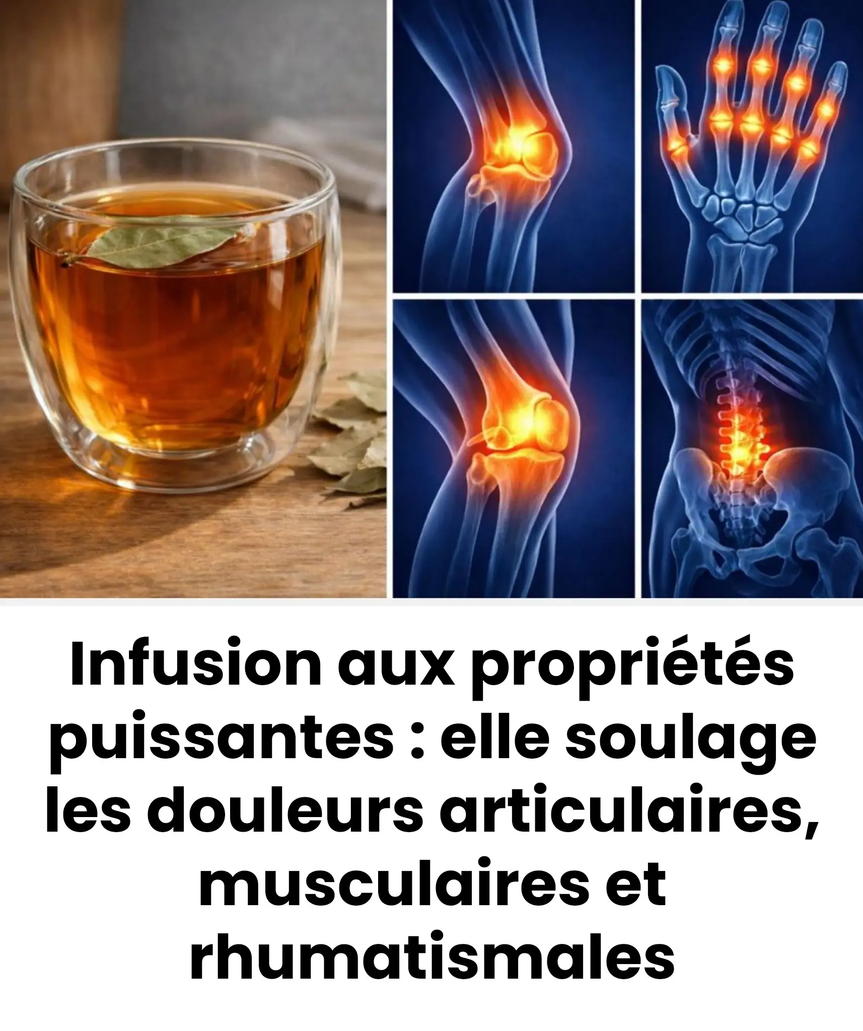 Infusion aux proprietes puissantes elle soulage les douleurs articulaires musculaires et rhumatismales.jpg (1)
