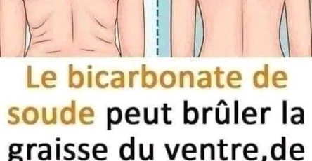 613641251 3091310844384916 1743383087604029802 n