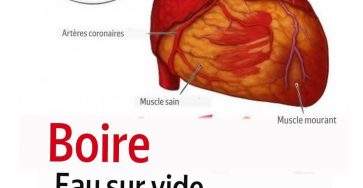 WhatsApp Image 2026 04 05 at 4.11.06 PM