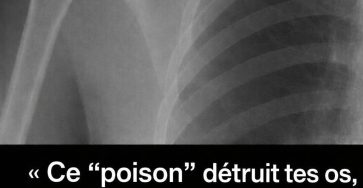 WhatsApp Image 2026 04 12 at 10.33.47 (1)