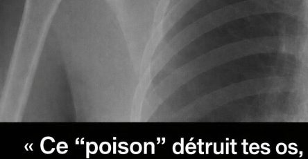 WhatsApp Image 2026 04 12 at 10.33.47 (1)