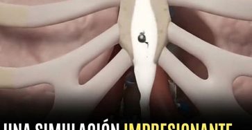 WhatsApp Image 2026 04 12 at 13.01.53