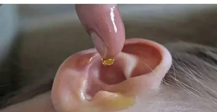 Recette de grand mere mettez 4 gouttes dans votre oreille et vous entendrez comme avant.jpg