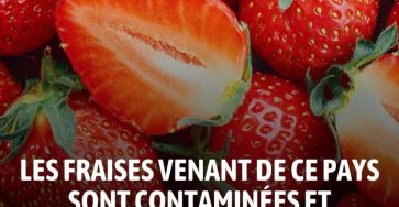 Les fraises de ce pays sont a eviter absolument