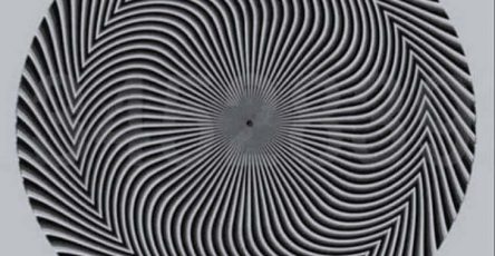 Une experience visuelle troublante