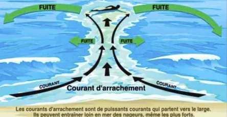 Attention a la plage pourquoi eviter les zones sans vagues 1024x538.jpg
