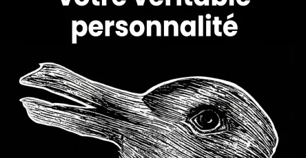 Ce que le premier animal que vous remarquez peut reveler sur votre personnalite 1.jpg