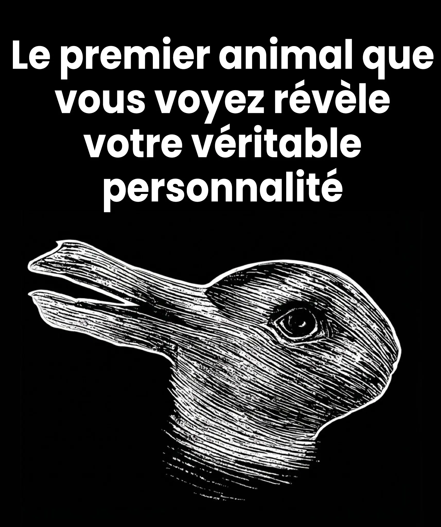 Ce que le premier animal que vous remarquez peut reveler sur votre personnalite 1.jpg