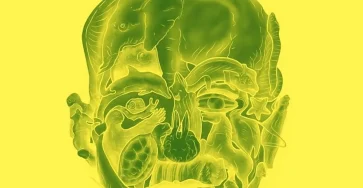 Le test visuel intrigant qui promet de reveler votre plus grand defaut selon le premier animal que vous voyez 1.jpeg