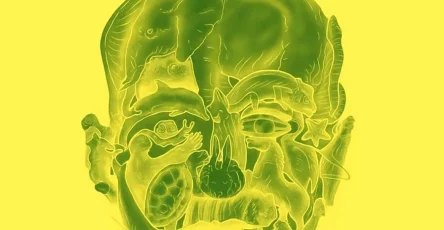 Le test visuel intrigant qui promet de reveler votre plus grand defaut selon le premier animal que vous voyez 1.jpeg
