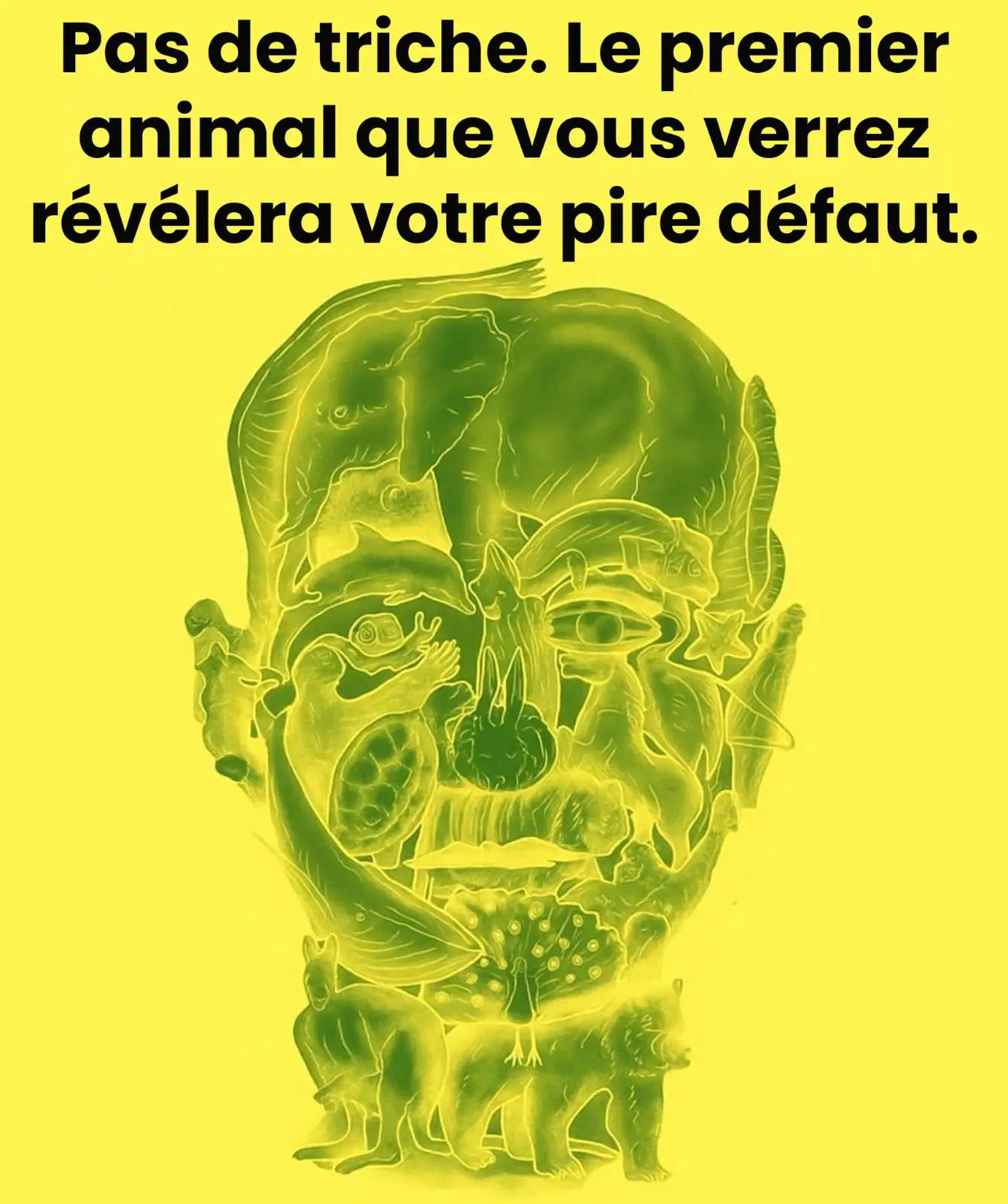 Le test visuel intrigant qui promet de reveler votre plus grand defaut selon le premier animal que vous voyez 1.jpeg