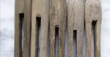 Les gens redecouvrent les multiples fonctions de cet objet vintage.jpg