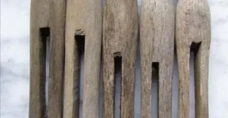 Les gens redecouvrent les multiples fonctions de cet objet vintage.jpg