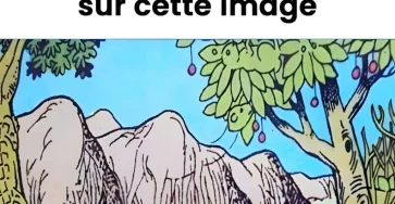 Pouvez vous trouver les 6 animaux sur la photo 1024x1024.jpg