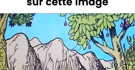 Pouvez vous trouver les 6 animaux sur la photo 1024x1024.jpg