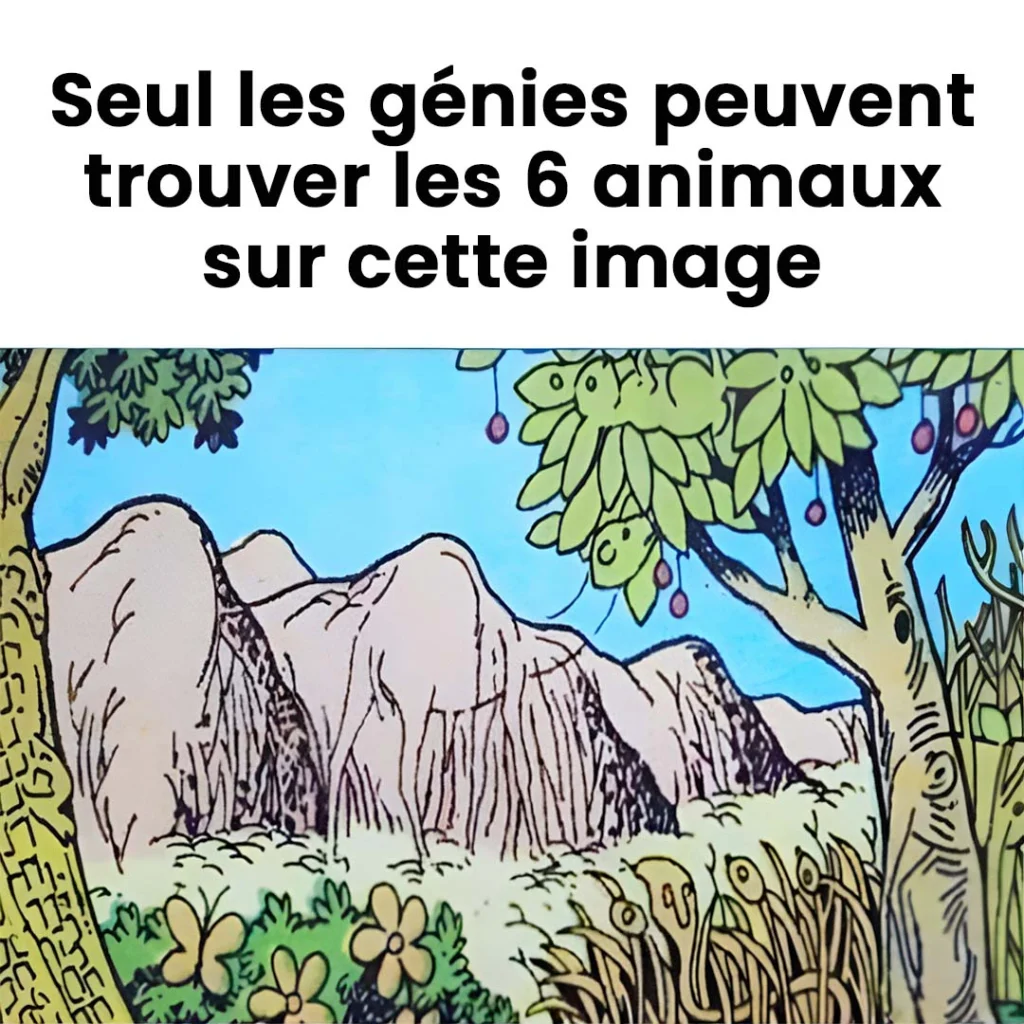 Pouvez vous trouver les 6 animaux sur la photo 1024x1024.jpg