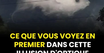 Test visuel ce que vous remarquez en premier en dit long sur votre personnalite 1.jpg