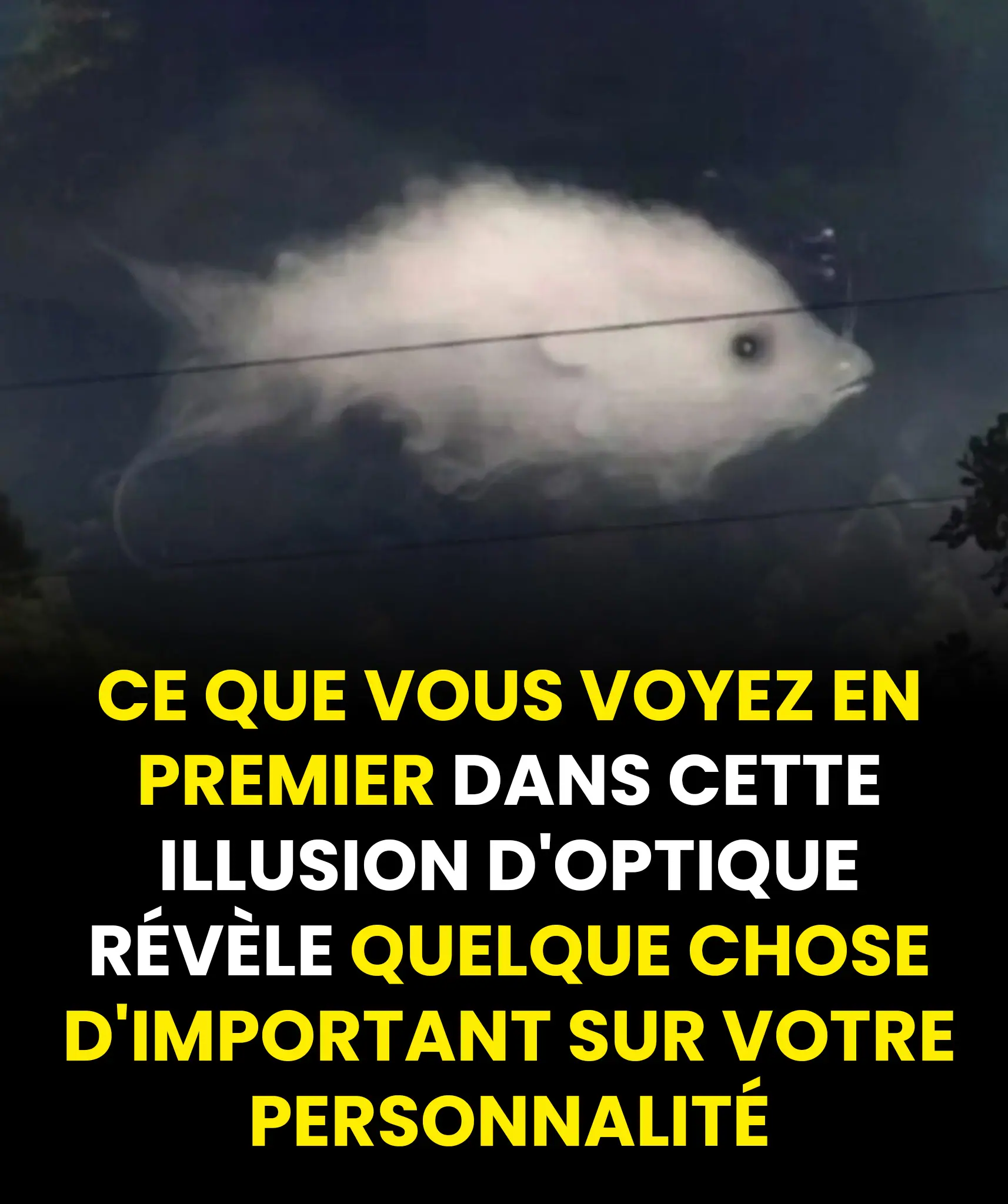 Test visuel ce que vous remarquez en premier en dit long sur votre personnalite 1.jpg