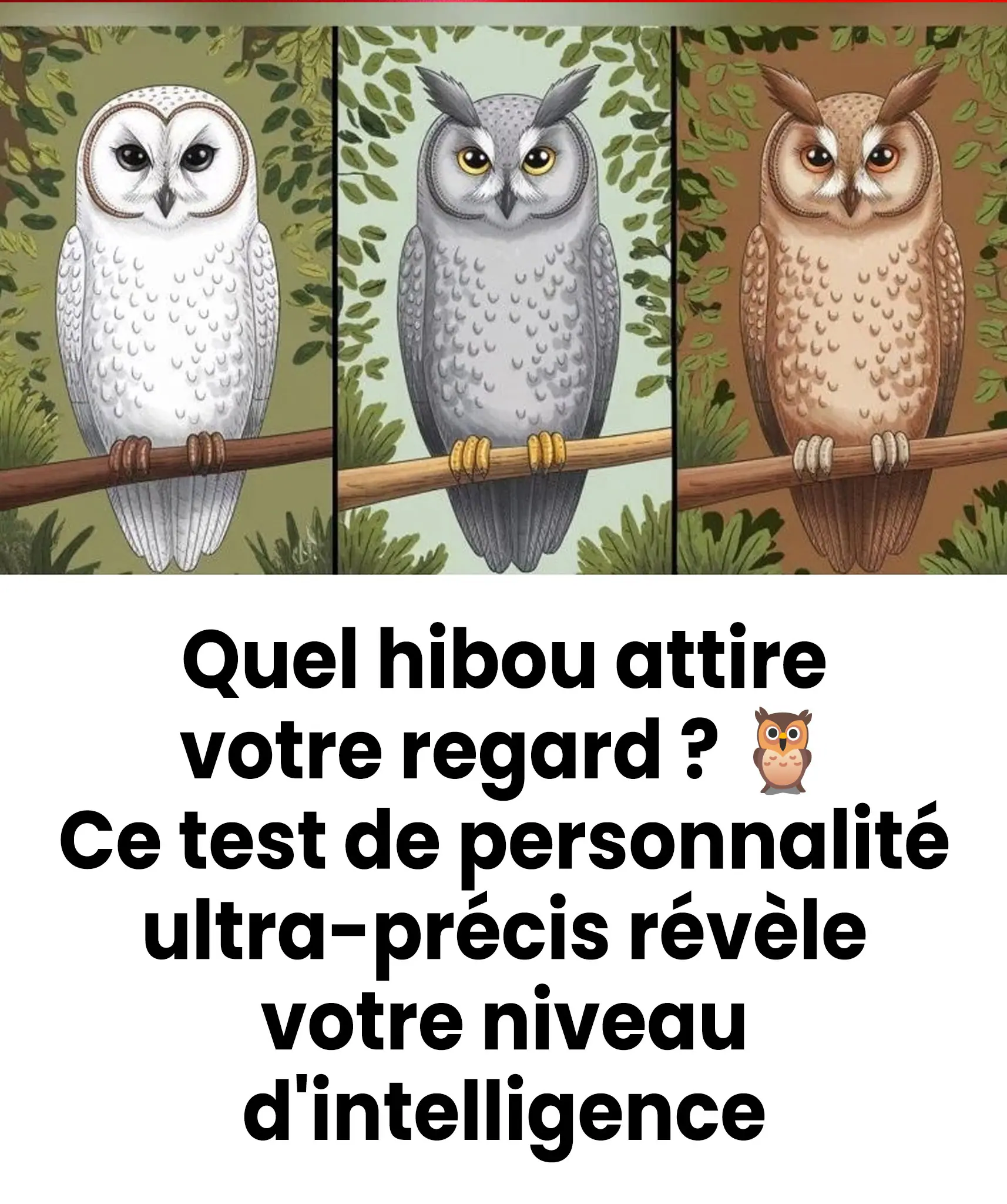 Un hibou vous interpelle plus que les autres decouvrez ce que cela dit sur votre intelligence 1.jpg